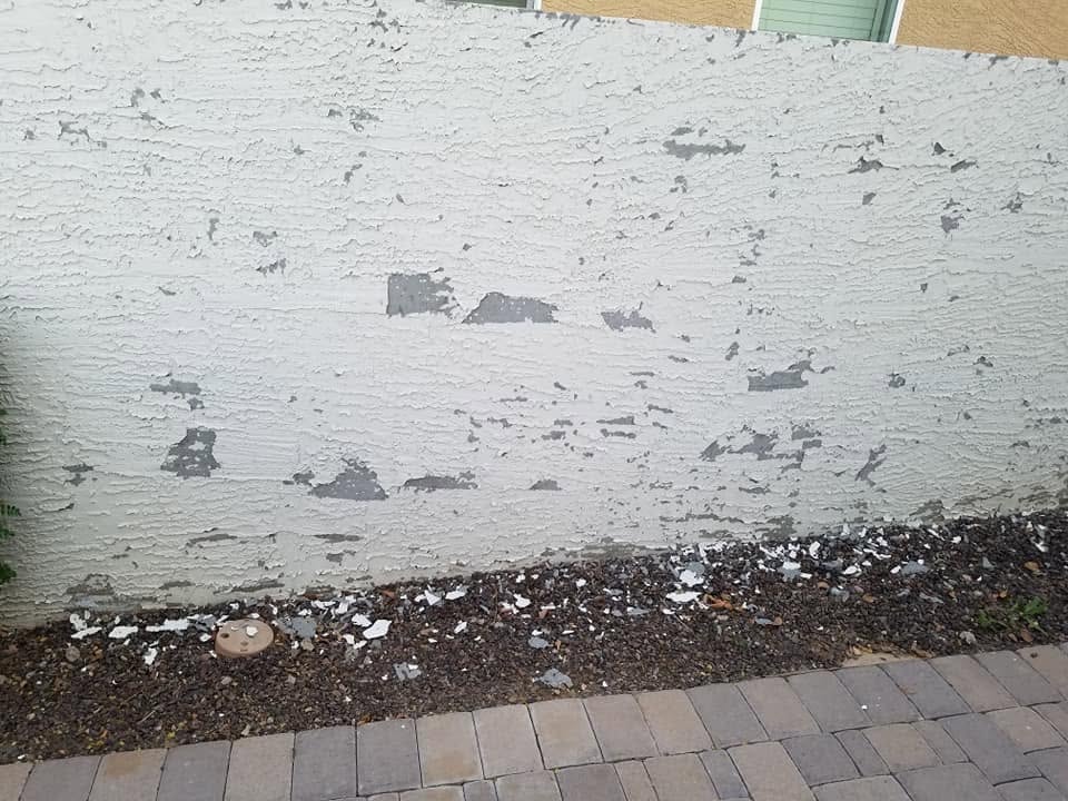 Before Exterior Cleaning